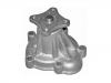 Water Pump:21010-01M00