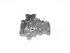 Water Pump:21010-54C00