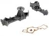 Water Pump:B1010-0W00J