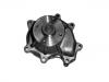 Water Pump:21010-03JX5