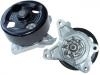Wasserpumpe Water Pump:AW6218